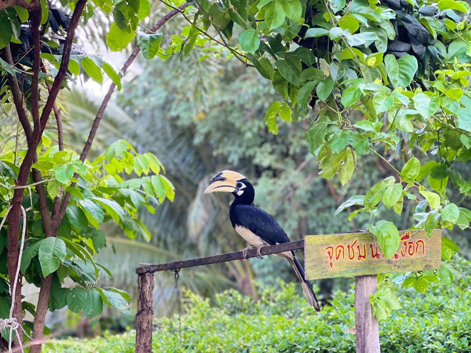 Baan Plai Laem Homestay Koh Phaluai Extérieur photo