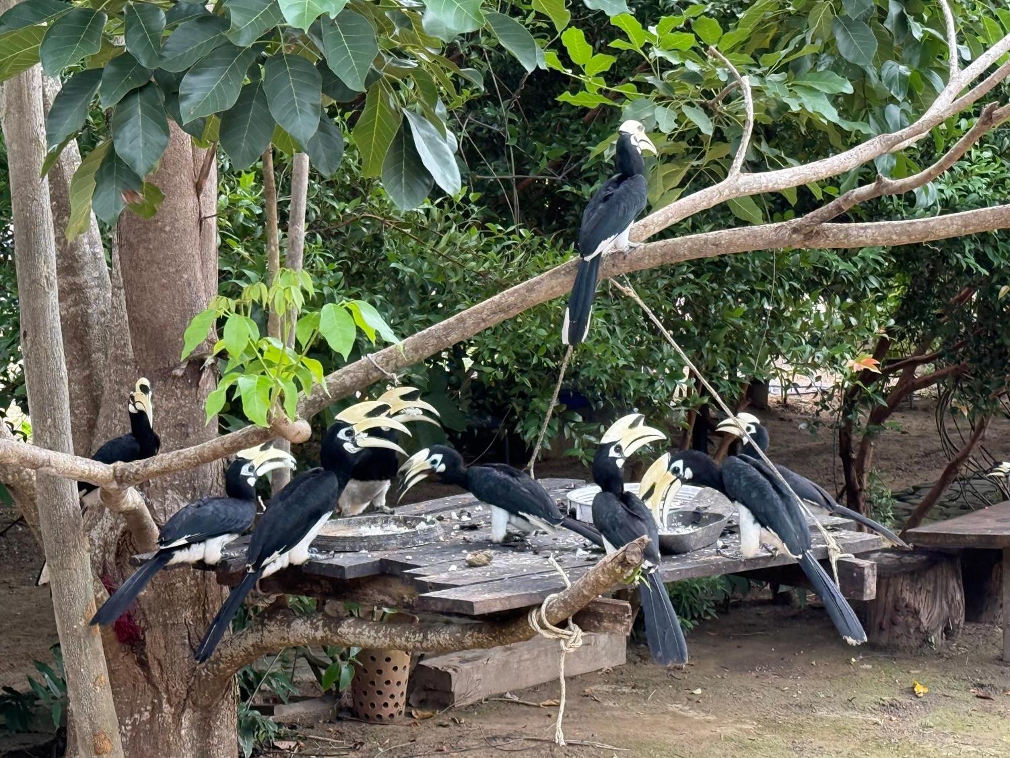 Baan Plai Laem Homestay Koh Phaluai Extérieur photo